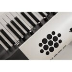 Korg - SV2S 73 - Imagen 6