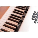 Korg - SV2S-88 - Imagen 7